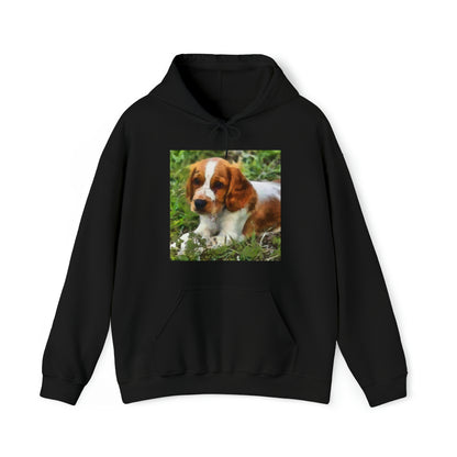 Welsh Springer Spaniel Unisex 50/50 Hoodie