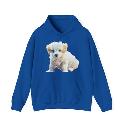 Bichon Frise Unisex 50/50 Hoodie: A Cozy Canvas of Canine Charm