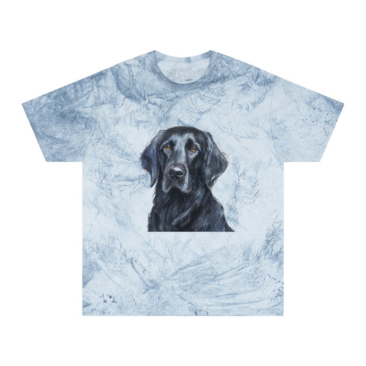 Flat-Coated Retriever Classic Color Blast T-Shirt