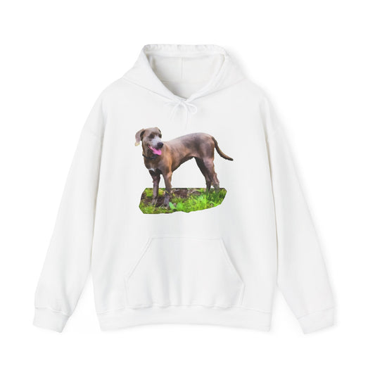 Blue Lacy 'Tex' Unisex 50/50 Hoodie