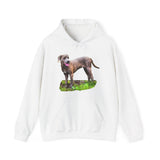 Blue Lacy 'Tex' Unisex 50/50 Hoodie