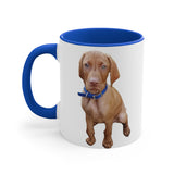 Hungarian Vizsla  'Augie' Accent Coffee Mug, 11oz