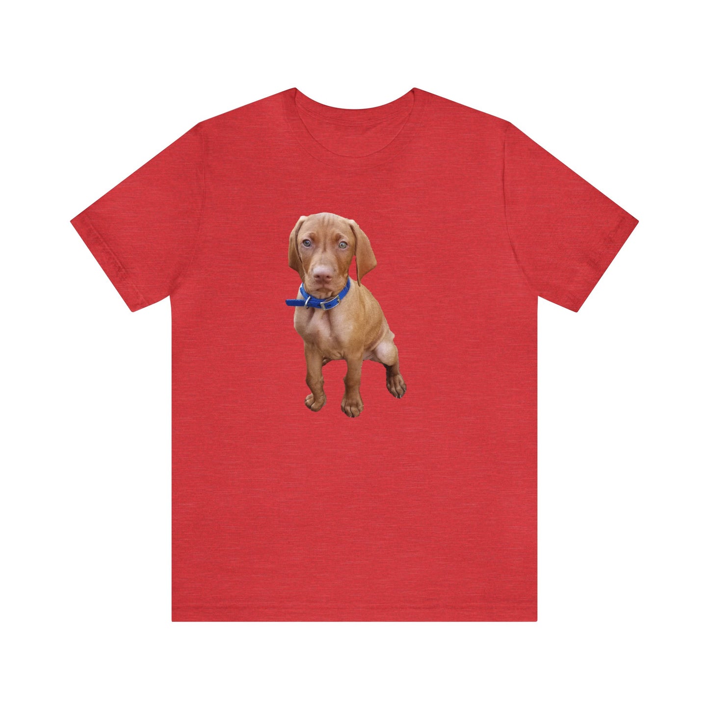 Vizsla 'Augie' -  Classic Jersey Short Sleeve Tee