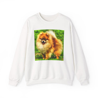 Pomeranian 'Pom Pom' Unisex Crewneck Sweatshirt