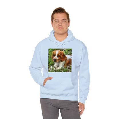Welsh Springer Spaniel Unisex 50/50 Hoodie