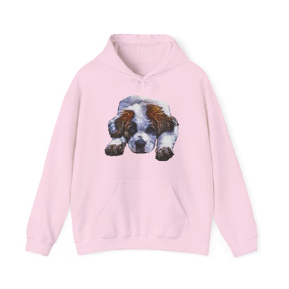 St. Bernard Sontuc Unisex 50/50 Hoodie - Cozy Comfort for All