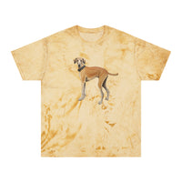 Sloughi - Arabian Greyhound - Unisex Color Blast T-Shirt