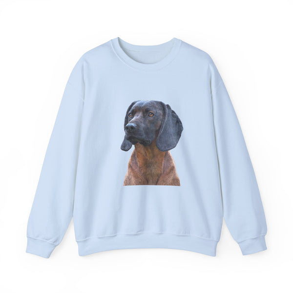 Bavarian Mountain Unisex 50/50 Crewneck Sweatshirt