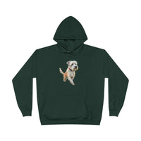 Unisex EcoSmart® Pullover Hoodie Sweatshirt