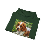 Welsh Springer Spaniel Unisex 50/50 Hoodie