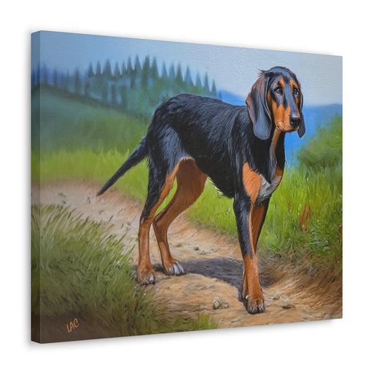 Elegant Transylvanian Scent Hound - Canvas Gallery Wraps - 20 x 16 Inches