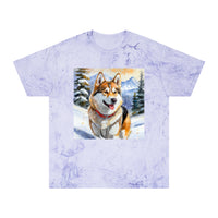 Chinook Unisex Color Blast T-Shirt – A Masterpiece of Comfort and Style