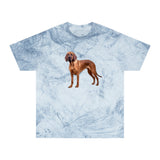 Bloodhound Unisex Color Blast T-Shirt