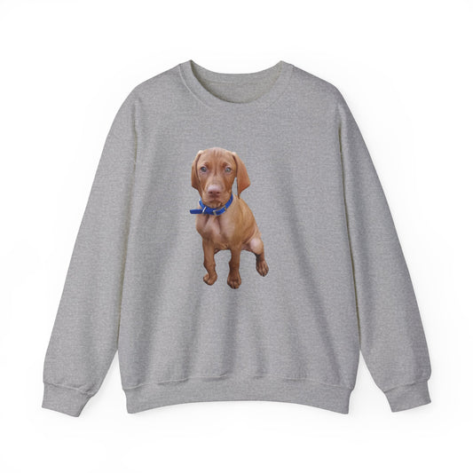 Vizsla - 'Augie' Unisex 50/50  Crewneck Sweatshirt