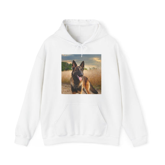 Regal Blend 50/50 Hooded Sweatshirt