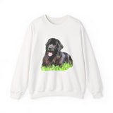 Newfoundland 'Madden' Unisex 50/50 Crewneck Sweatshirt