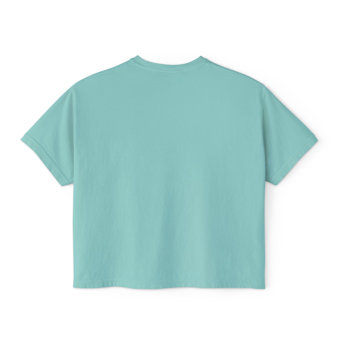 American Water Spaniel Women's Oversized Boxy Tee