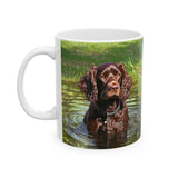 Boykin Spaniel Ceramic Mug, - 2 Sizes