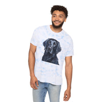 Flat-Coated Retriever Fashion Tie-Dyed T-Shirt