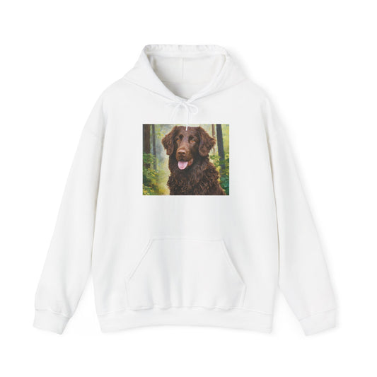 Curly-Coated Retriever Cozy Hoodie