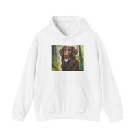 Curly-Coated Retriever Cozy Hoodie