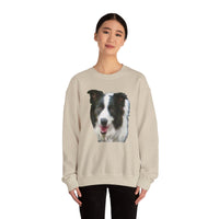 Border Collie 'Archie' Comfort Crewneck Sweatshirt