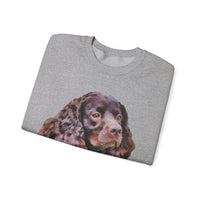 American Water Spaniel Unisex 50/50 Crewneck Sweatshirt
