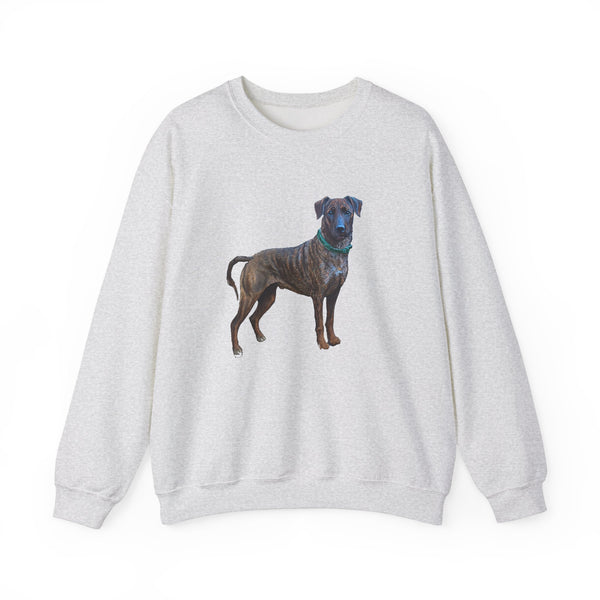 Treeing Tennessee Brindle Unisex 50/50 Crewneck Sweatshirt