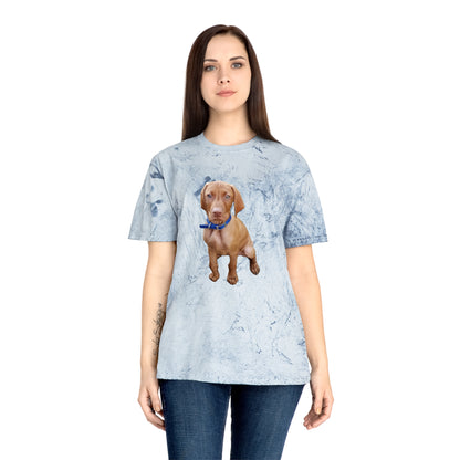 Vizsla 'Augie' Unisex Cotton Color Blast T-Shirt