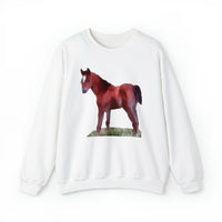 Horse 'Contata' Unisex 50/50 Crewneck Sweatshirt