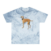 Sloughi - Arabian Greyhound - Unisex Color Blast T-Shirt