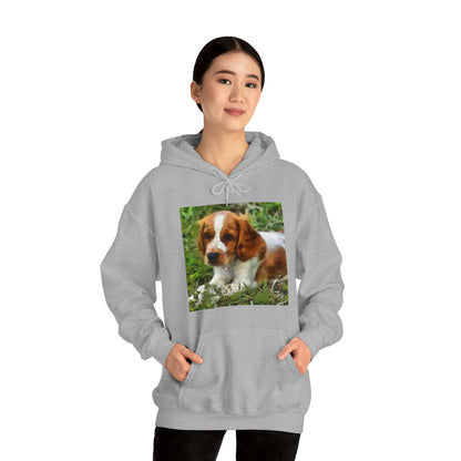 Welsh Springer Spaniel Unisex 50/50 Hoodie