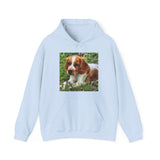 Welsh Springer Spaniel Unisex 50/50 Hoodie