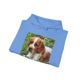 Welsh Springer Spaniel Unisex 50/50 Hoodie