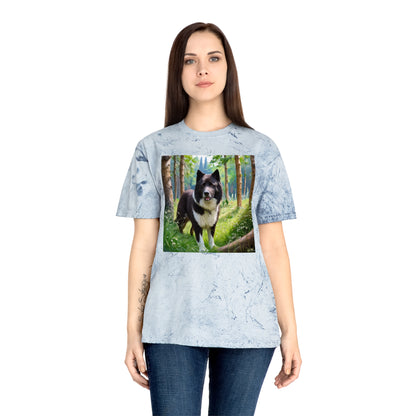 Karelian Bear Dog Color Blast T-Shirt