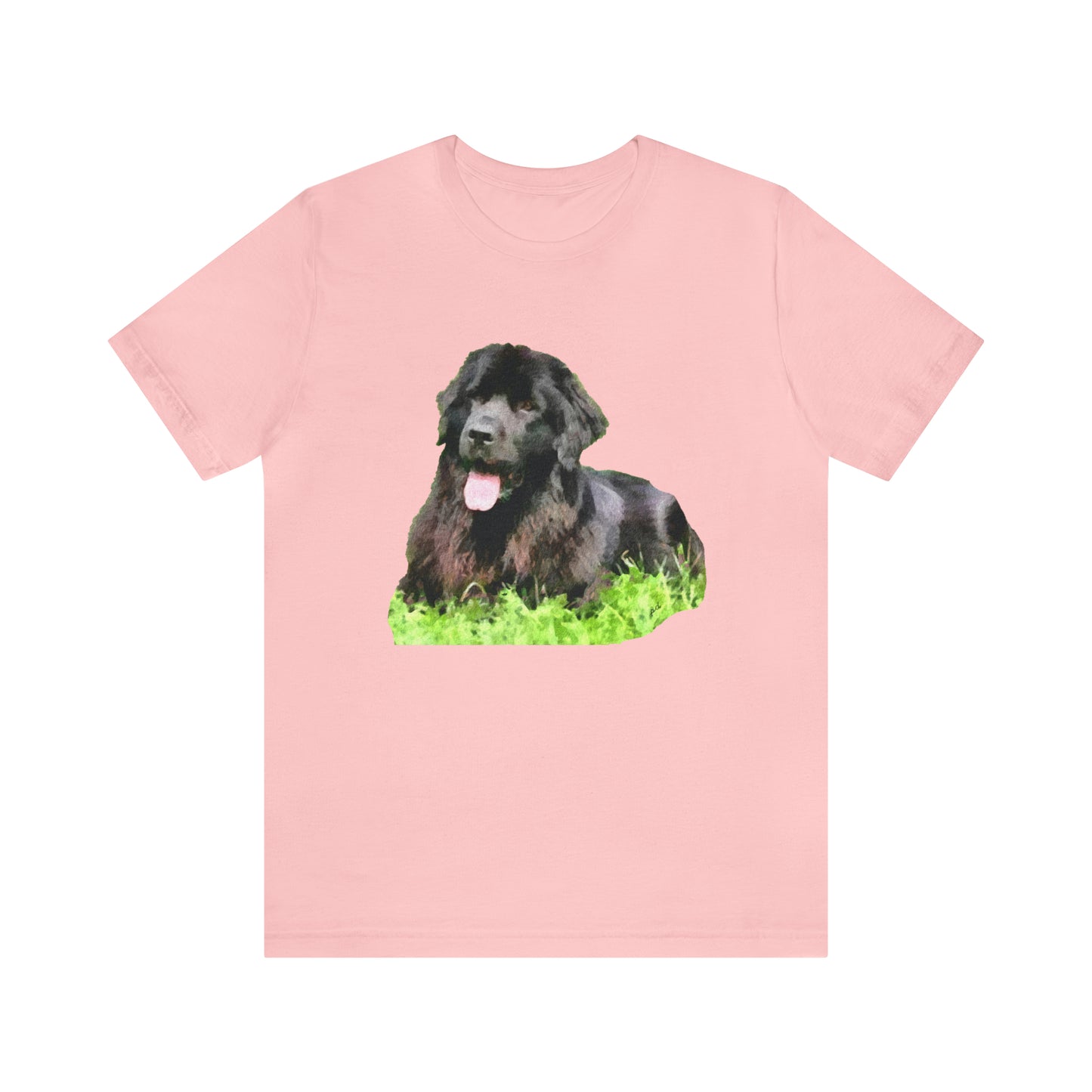 Newfoundland 'Madden'  -  Classic Jersey Short Sleeve Tee
