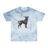 Treeing Tennessee Brindle  Unisex Color Blast T-Shirt