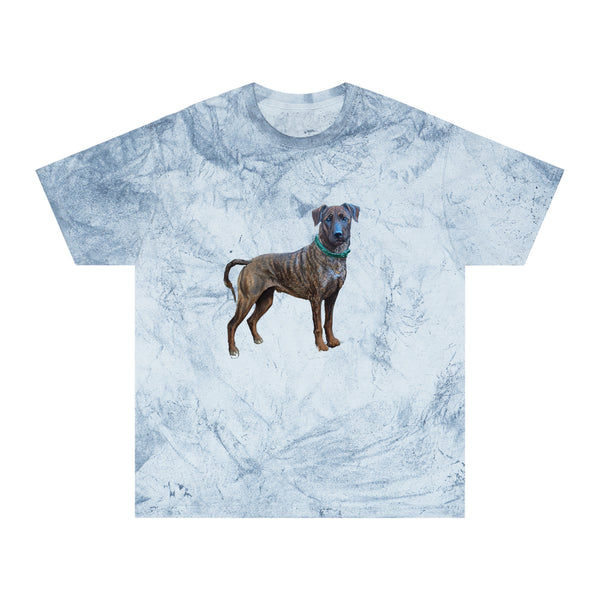 Treeing Tennessee Brindle  Unisex Color Blast T-Shirt