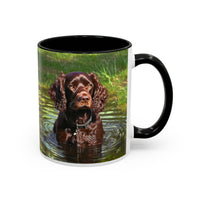 Boykin Spaniel -- Accent Coffee Mug --2 Sizes