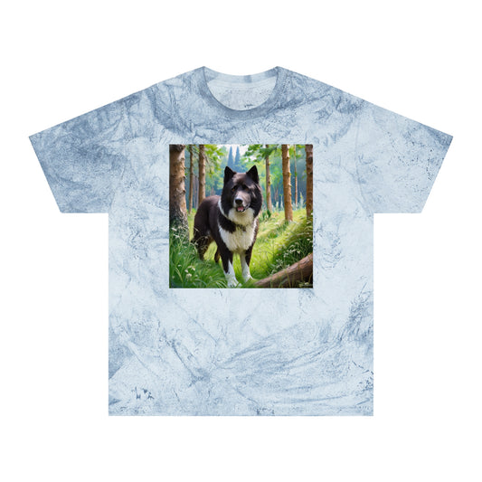 Karelian Bear Dog Color Blast T-Shirt