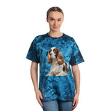 Classic Tie-Dye Tee by French Spaniel