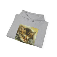 Sleepy Brucie the Cat - Classic 50/50 Hoodie