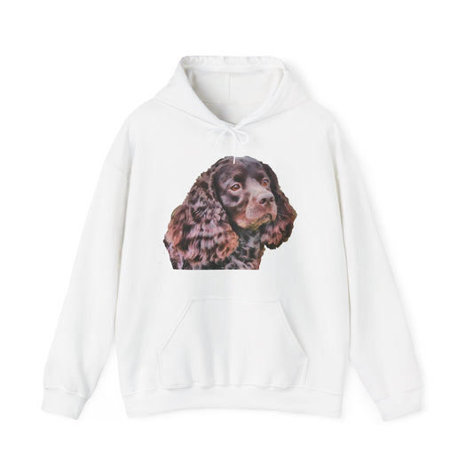 American Water Spaniel Unisex 50/50 Hoodie