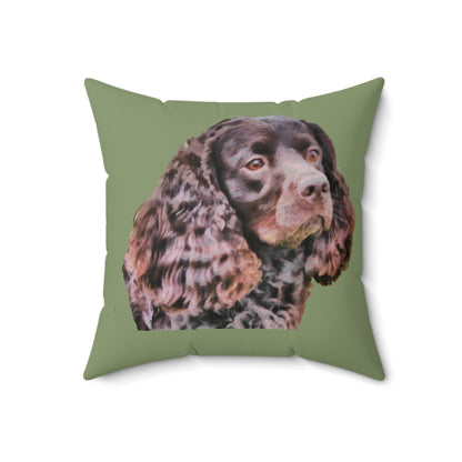 American Water Spaniel Spun Polyester Throw Pillow