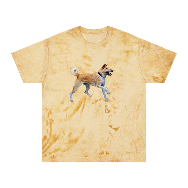 Korean Jindo Unisex Color Blast T-Shirt