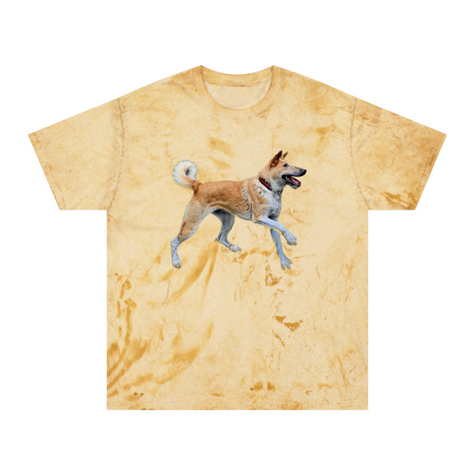 Korean Jindo Unisex Color Blast T-Shirt