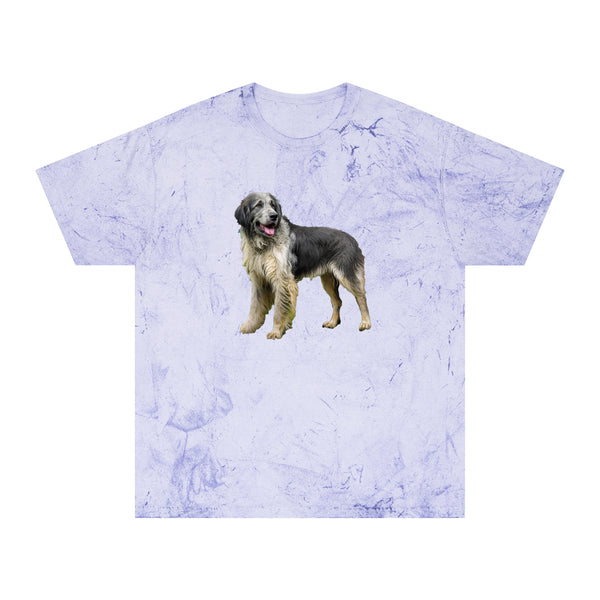 Romanian Carpathian Shepherd  Unisex Color Blast T-Shirt