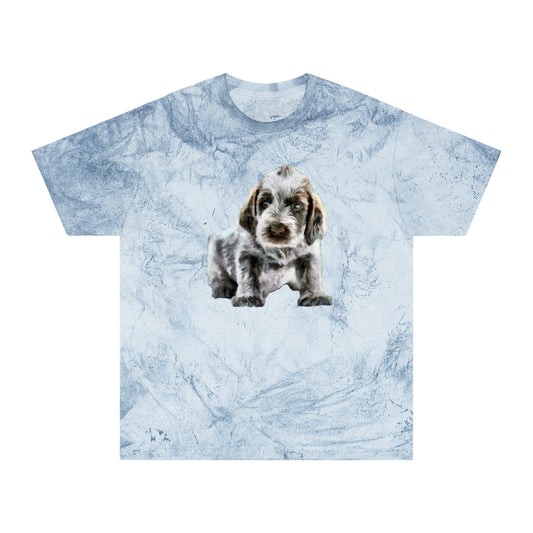 Spinone Italiano Unisex Cotton  Color Blast T-Shirt