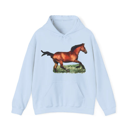 Horse 'Sam' - Unisex 50/50 Hoodie
