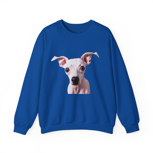 American Hairless Terrier 50/50 Crewneck Sweatshirt